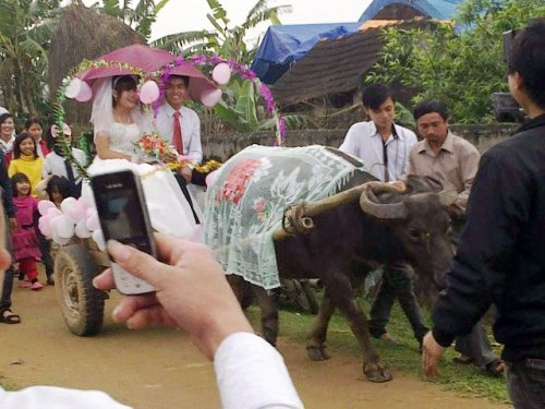 rước nàng về dinh là gì - Hình 4