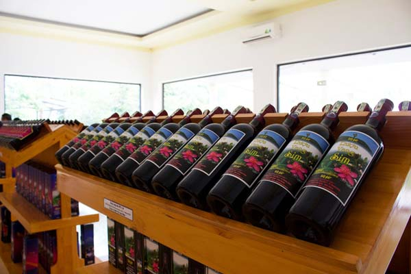 sim wine production facility bay gao - Hình 5