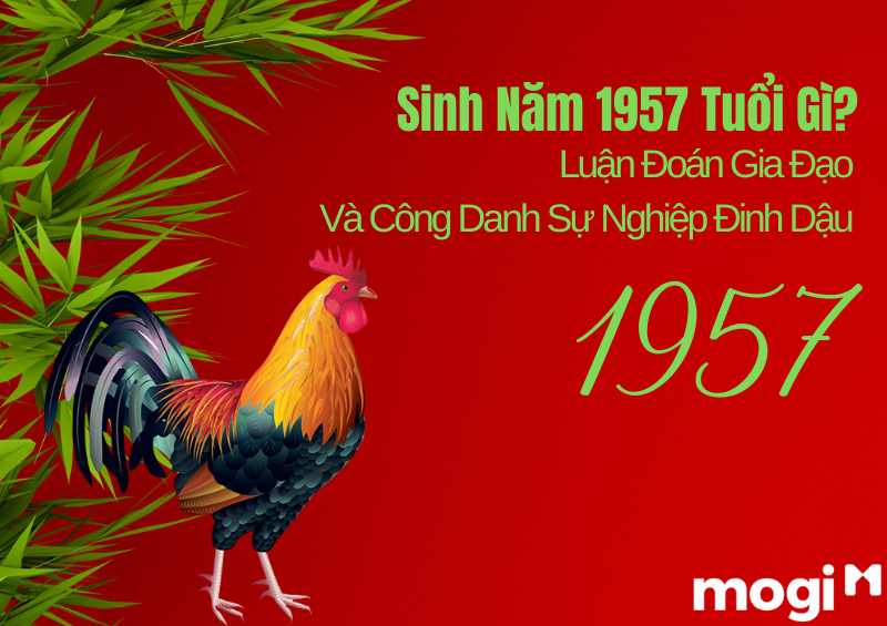 sinh năm 1957 năm nay bao nhiêu tuổi - Hình 5