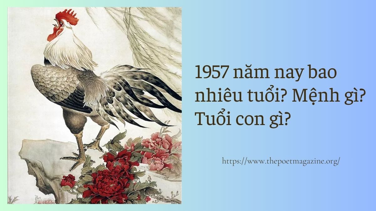 sinh năm 1957 năm nay bao nhiêu tuổi - Hình 1