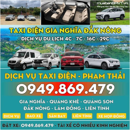 số taxi việt đức gia nghĩa - Hình 1