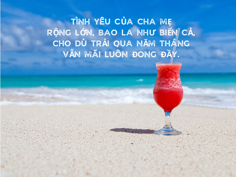stt đi biển cùng gia đình - Hình 3