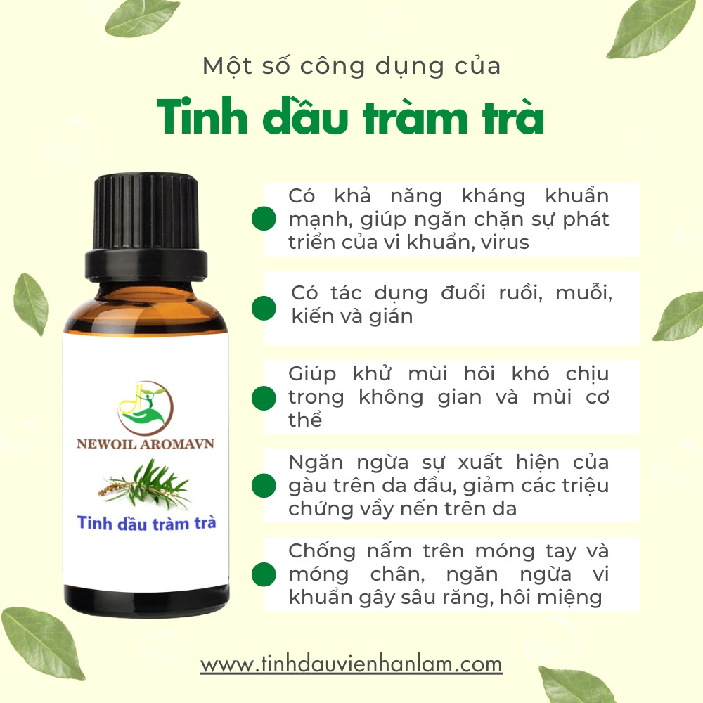 tác dụng của tinh dầu tràm trà - Hình 3