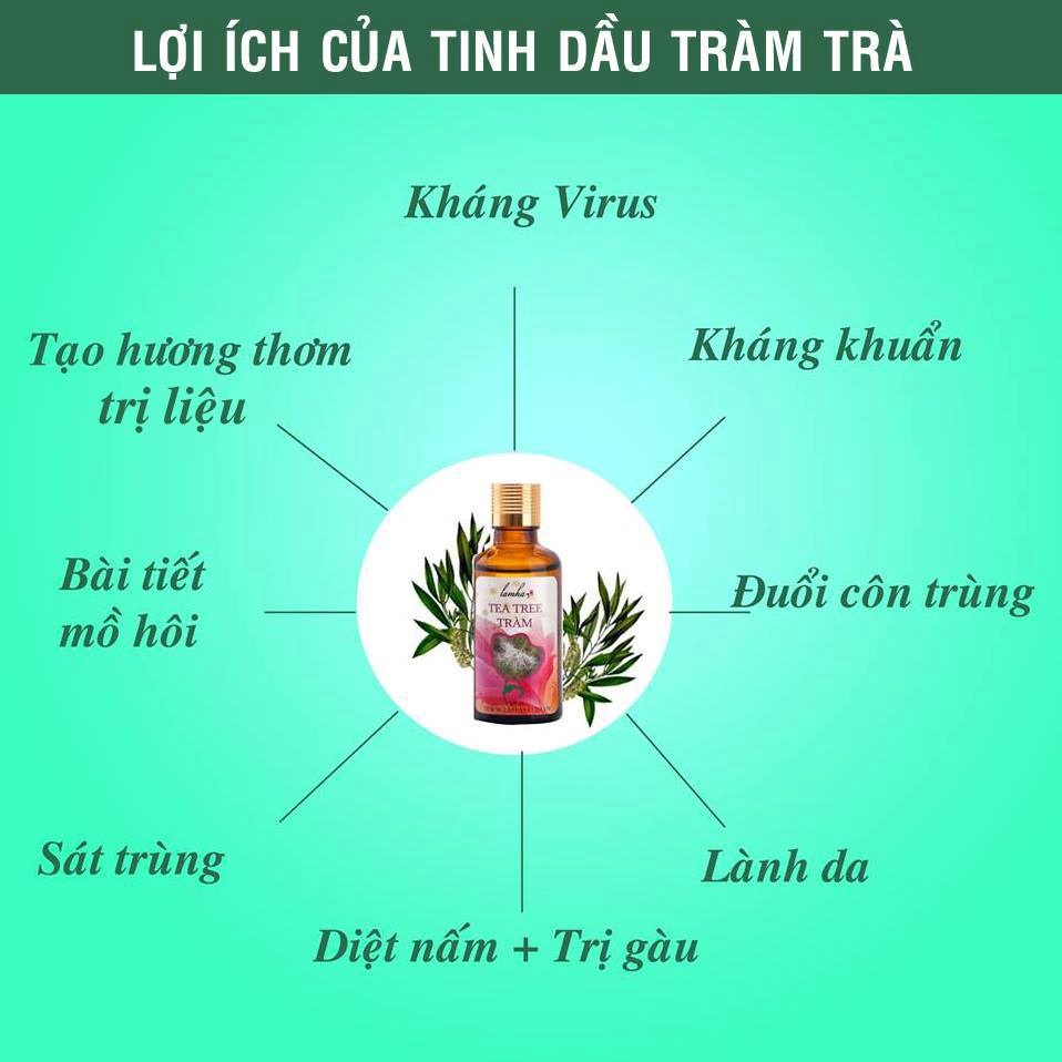 tác dụng của tinh dầu tràm trà - Hình 4