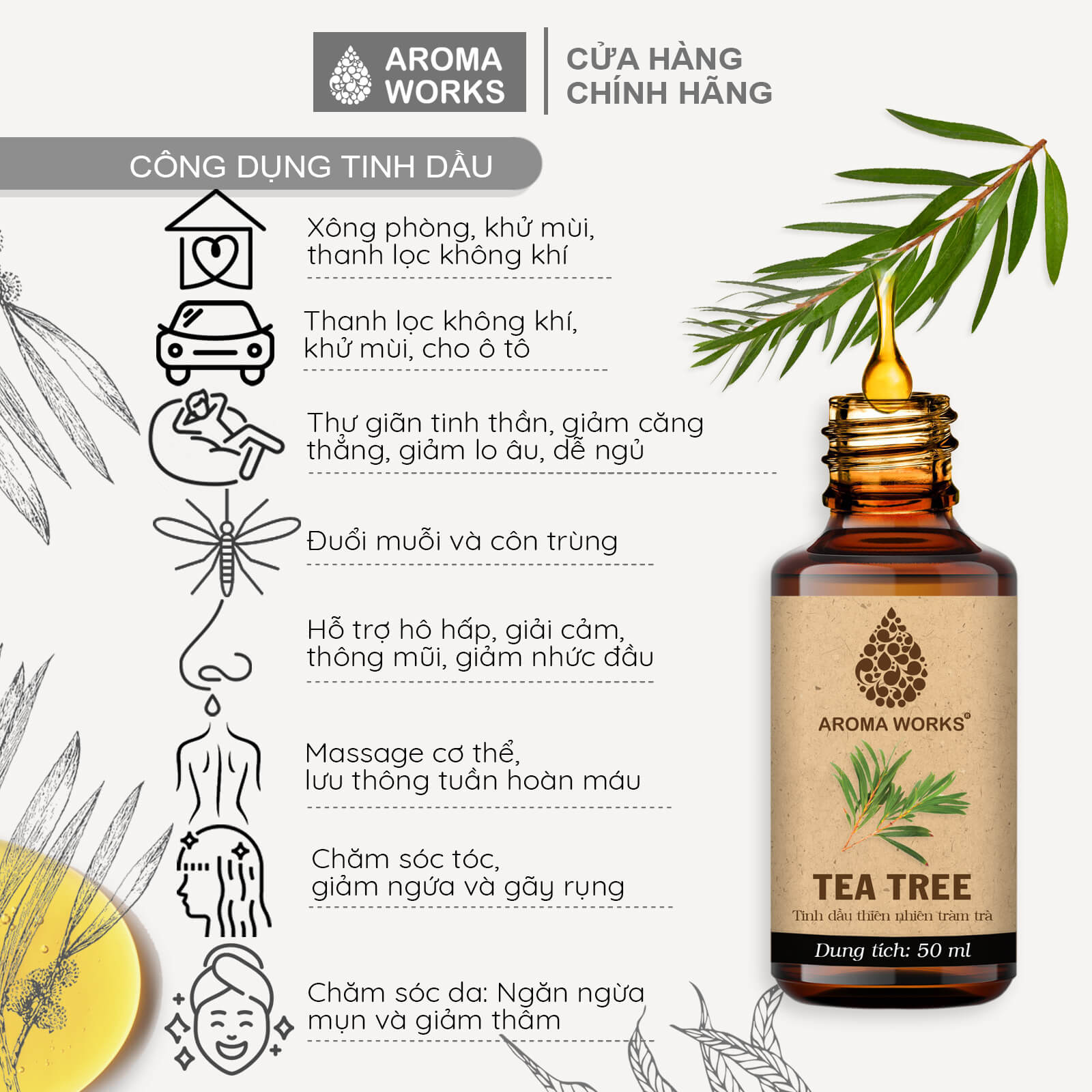 tác dụng của tinh dầu tràm trà