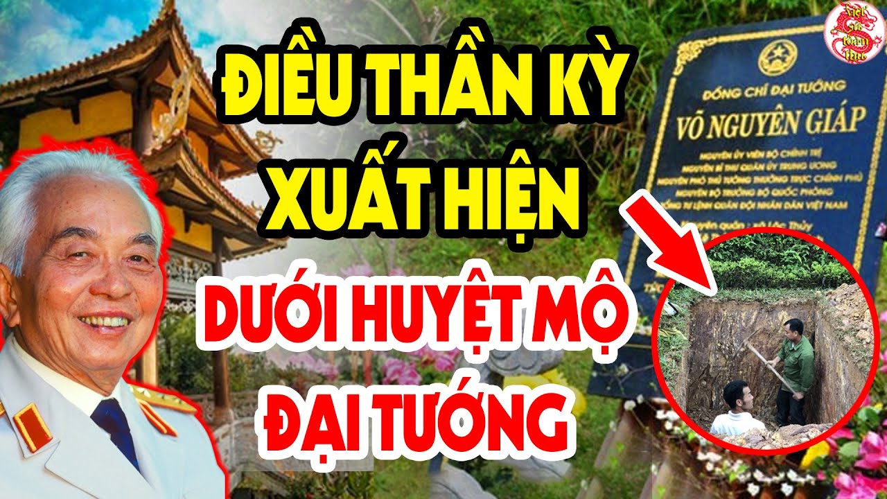 tại sao đại tướng lại chọn vũng chùa đảo yến - Hình 2