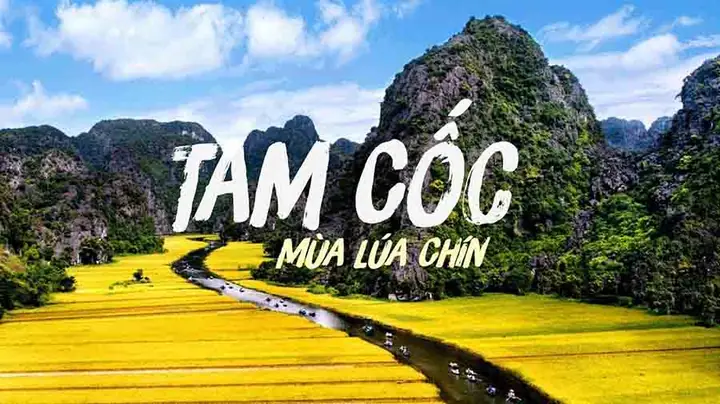 Tam Cốc Bích Động Ở Đâu? Hướng Dẫn Chi Tiết Từ A-z