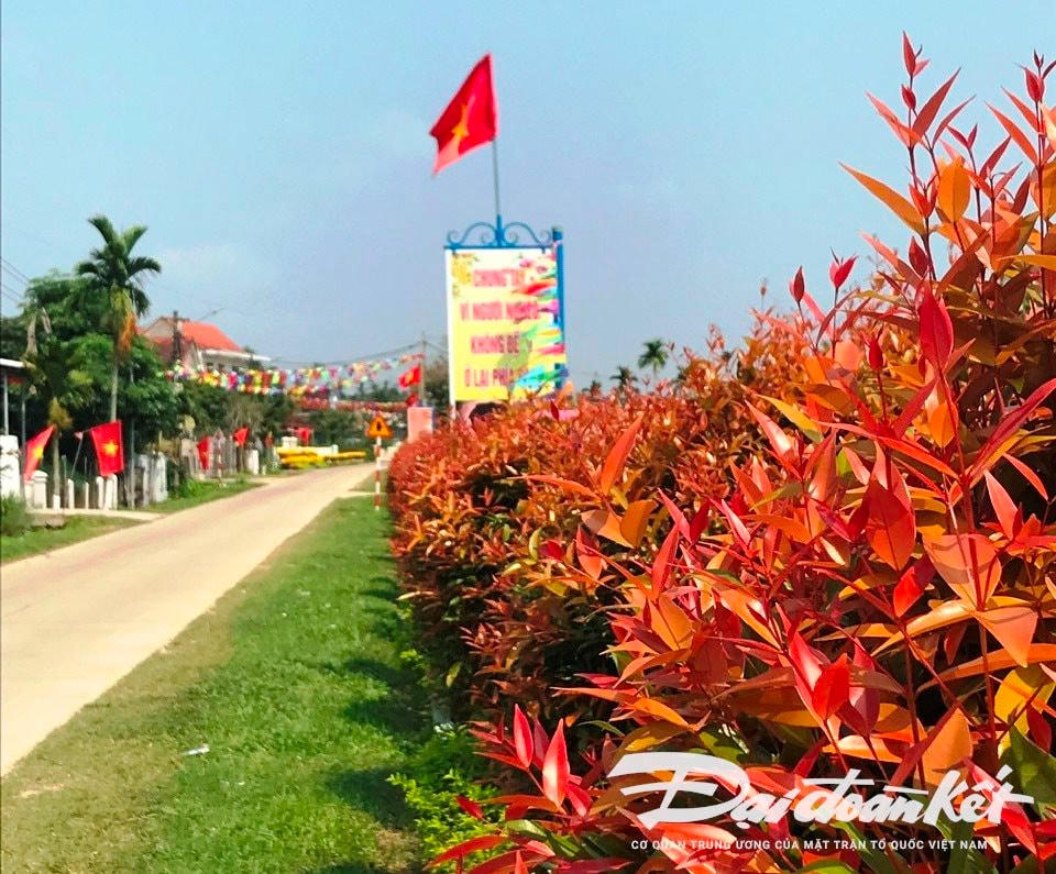 tam vinh phú ninh quảng nam - Hình 3