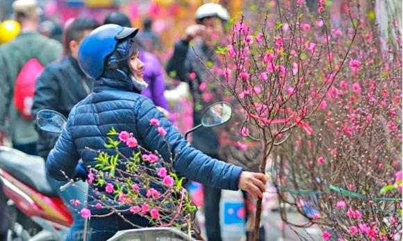 tết nguyên đán 2026 có lạnh không - Hình 3