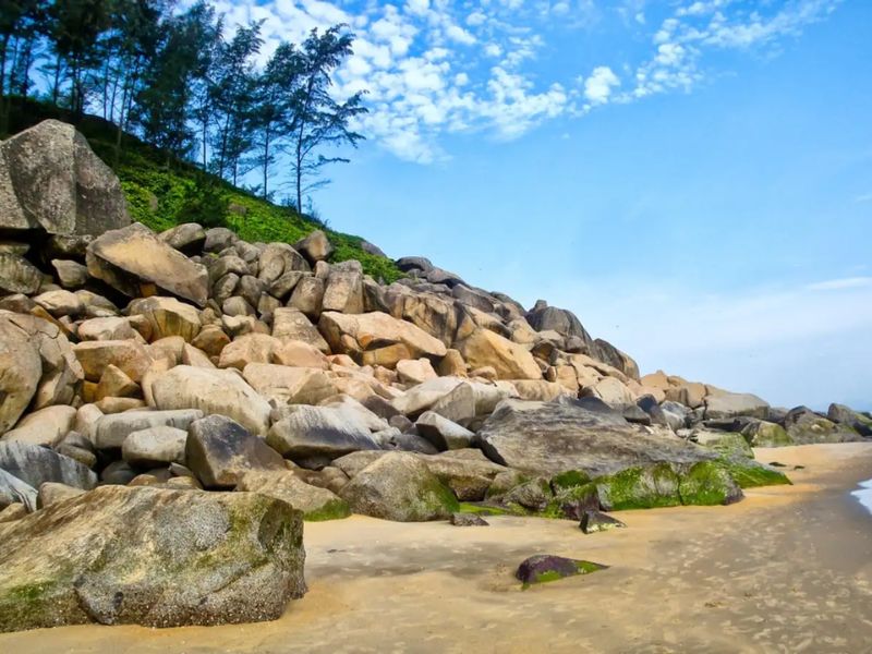 thạch hải thạch hà hà tĩnh - Hình 5