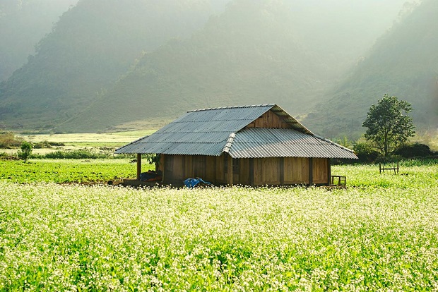 tháng 11 đi du lịch ở đâu - Hình 4