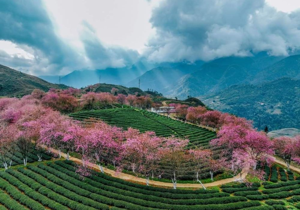 tháng 12 nên đi du lịch ở đâu - Hình 5