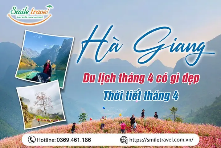 Tháng 4 Hà Giang Có Gì? Cẩm Nang Trải Nghiệm Mùa Chuyển Mùa Đẹp Nhất