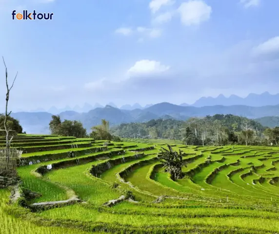 Tháng 4 Hà Giang Có Gì? Cẩm Nang Trải Nghiệm Mùa Chuyển Mùa Đẹp Nhất