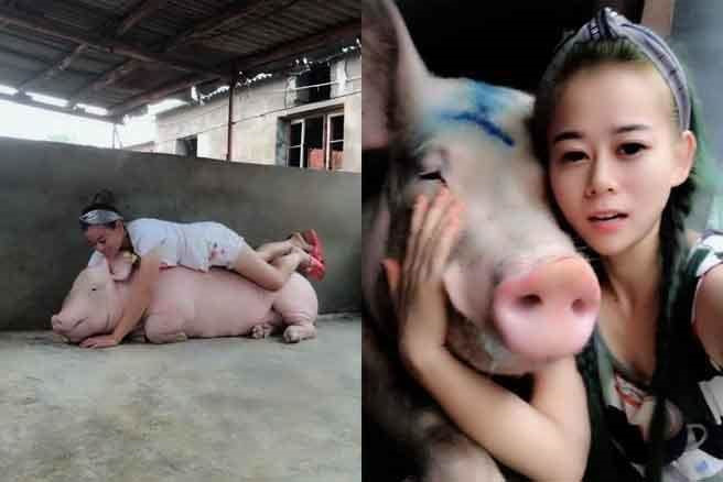 thanh niên quan hệ với lợn - Hình 5