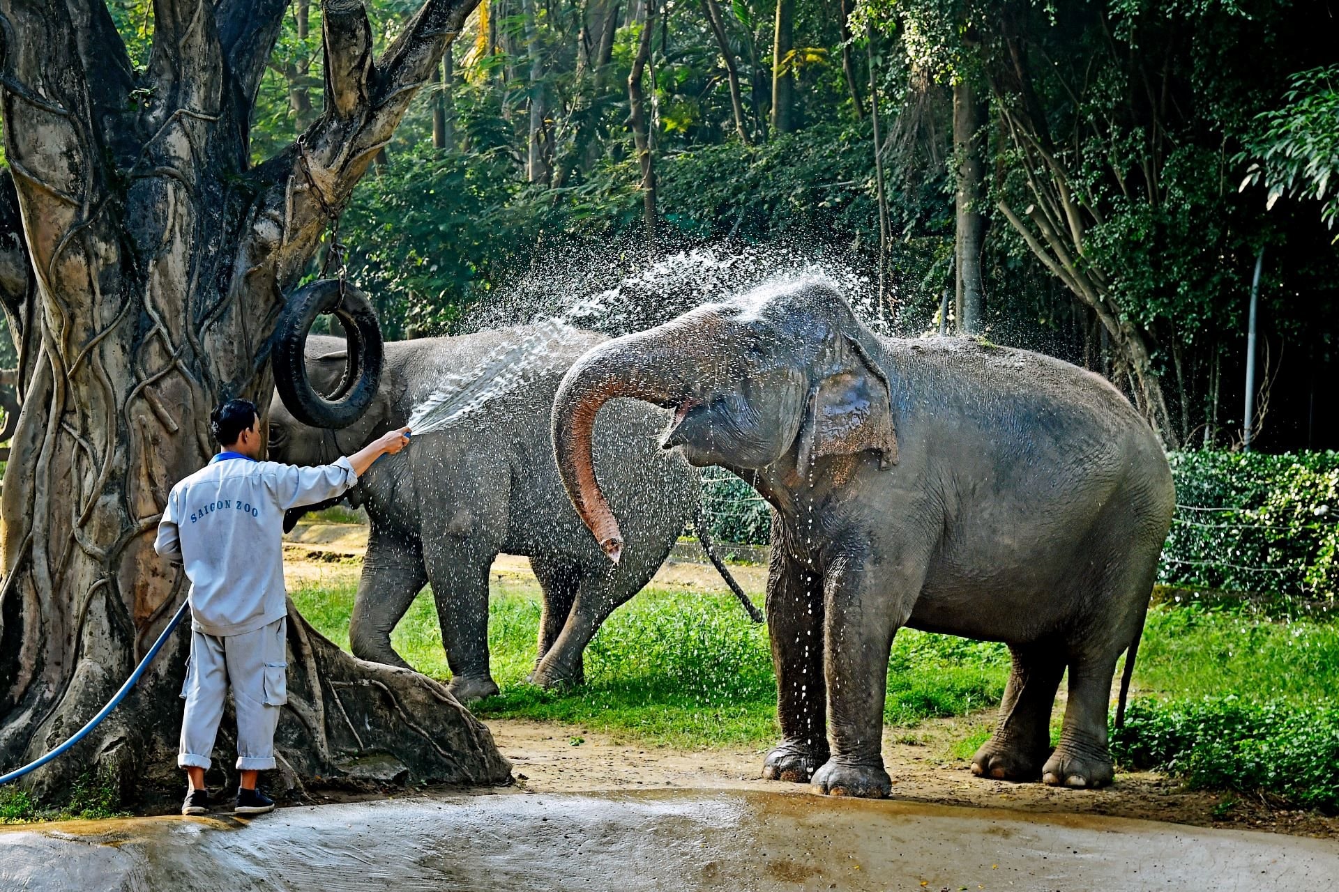 thảo cầm viên sài gòn ảnh - Hình 2
