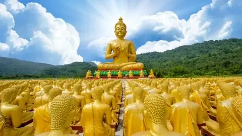 Tháp Mười Đồng Tháp: Khám Phá Vùng Sen Hồng Đáng Trải Nghiệm Nhất Tháp Mười Đồng Tháp: Khám Phá Vùng Sen Hồng Đáng Trải Nghiệm Nhất