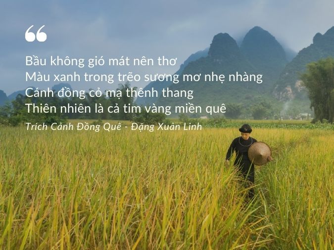thơ lục bát về thiên nhiên - Hình 4