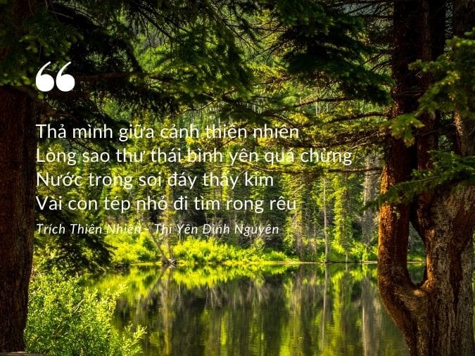 thơ lục bát về thiên nhiên - Hình 5