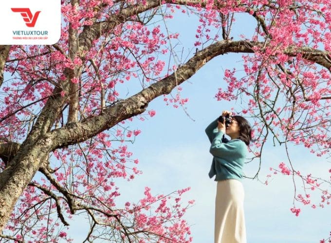 thời tiết đà lạt tháng 1 - Hình 5