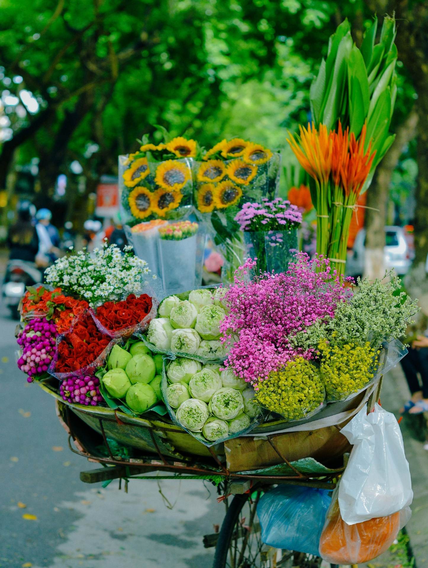 thời tiết hà nội tháng 8 - Hình 3