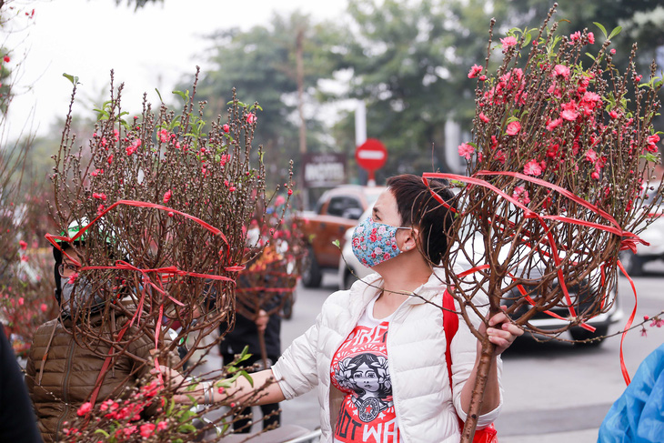 thời tiết miền bắc dịp tết nguyên đán - Hình 3