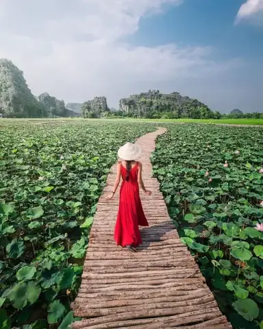 Cẩm Nang Du Lịch Ninh Bình Tháng 7: Thời Tiết, Điểm Đến Và Ẩm Thực