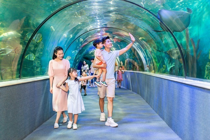 thuỷ cung time city giờ mở cửa - Hình 2