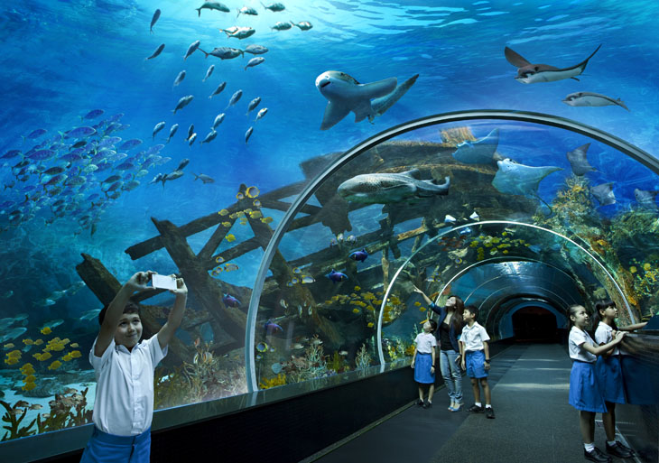 thuỷ cung time city giờ mở cửa - Hình 3