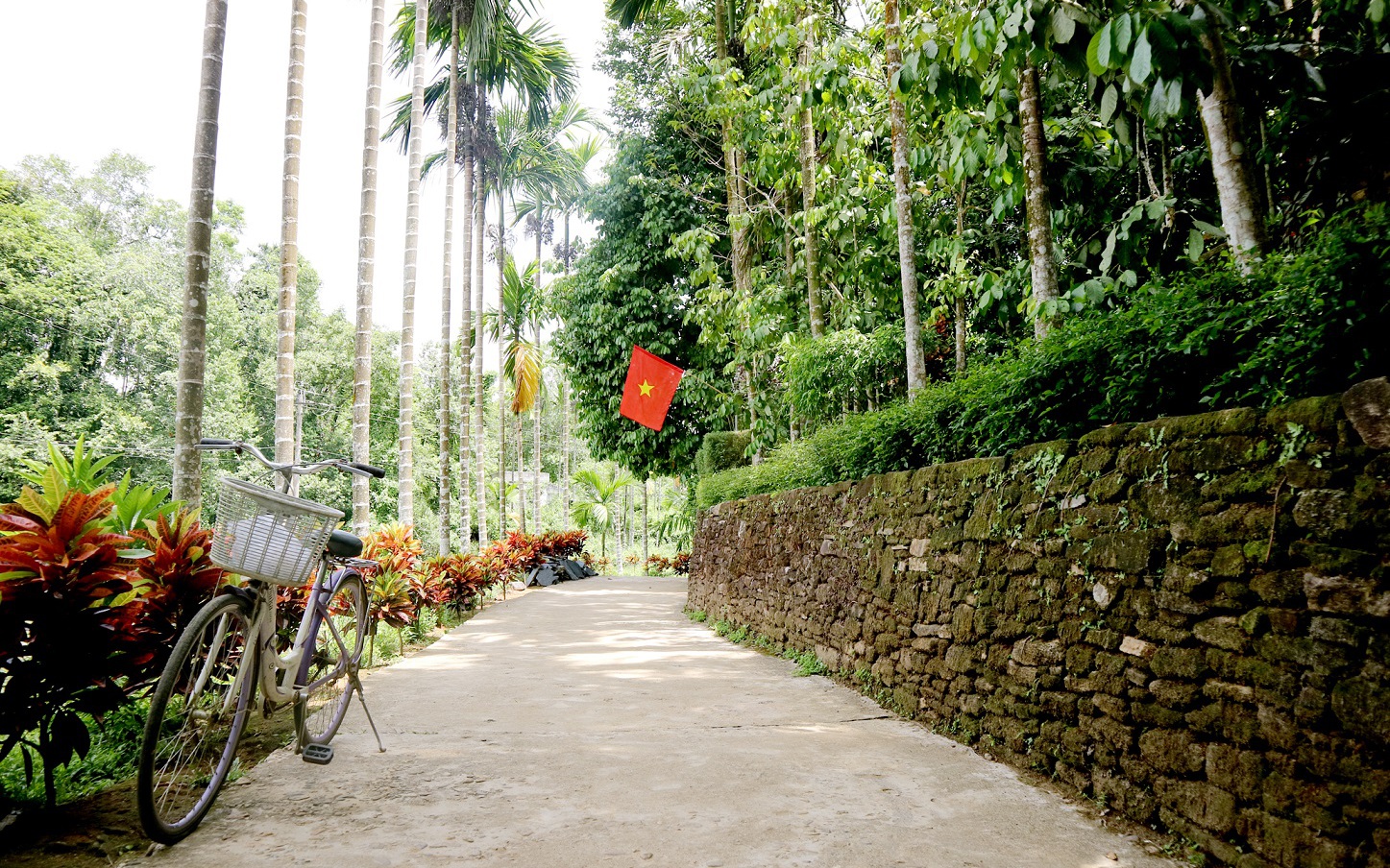tiên sơn tiên phước quảng nam - Hình 3