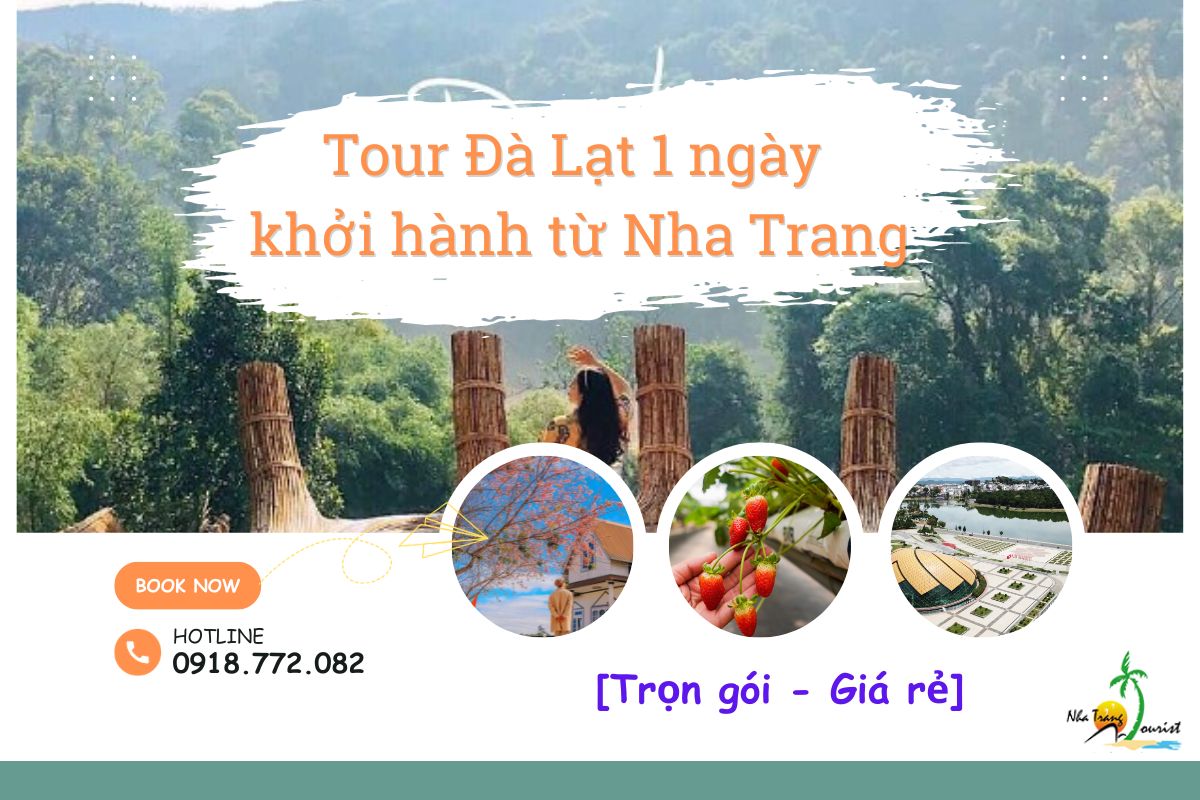 tour du lịch nha trang đà lạt 1 ngày - Hình 4