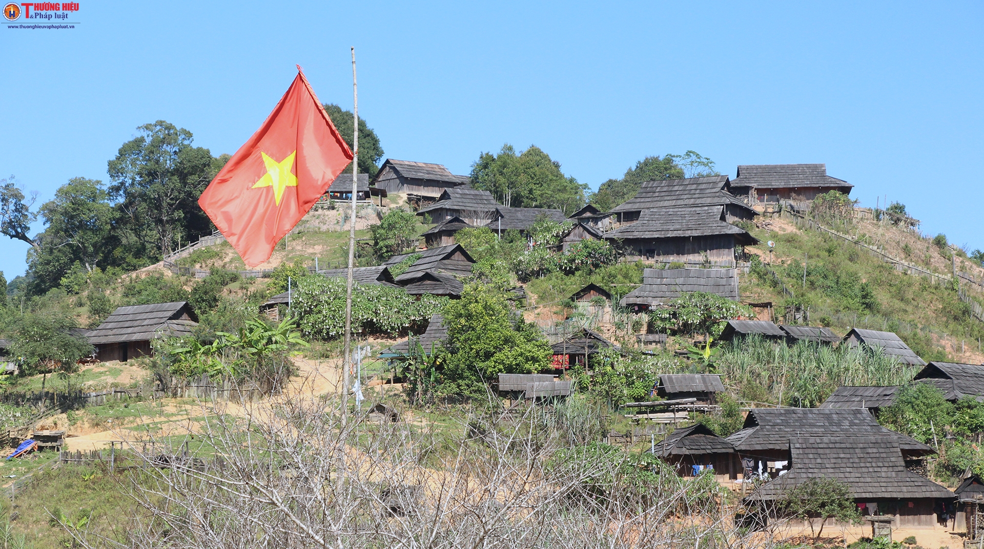 tri lễ quế phong nghệ an - Hình 1