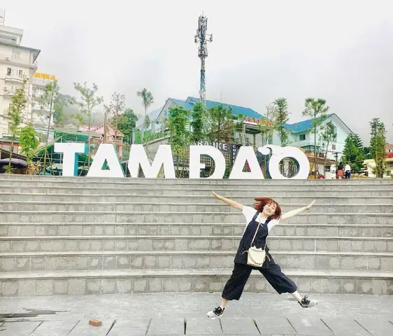 Chạy Quanh Tam Đảo: Hướng Dẫn Chi Tiết Lộ Trình, Kinh Nghiệm Thực Tế