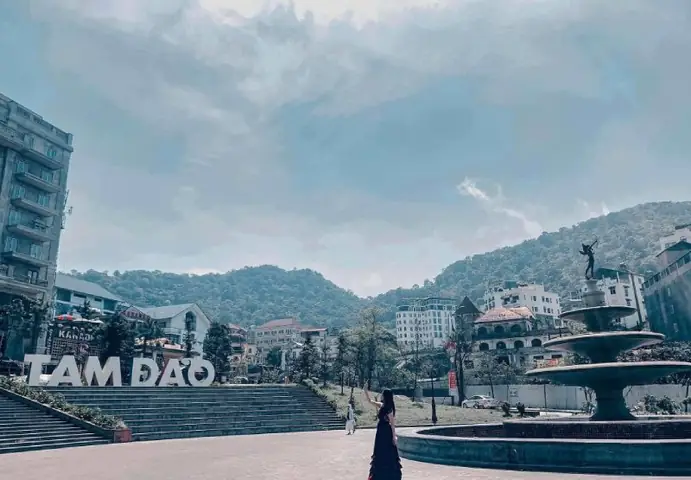Chạy Quanh Tam Đảo: Hướng Dẫn Chi Tiết Lộ Trình, Kinh Nghiệm Thực Tế