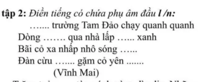 Chạy Quanh Tam Đảo: Hướng Dẫn Chi Tiết Lộ Trình, Kinh Nghiệm Thực Tế