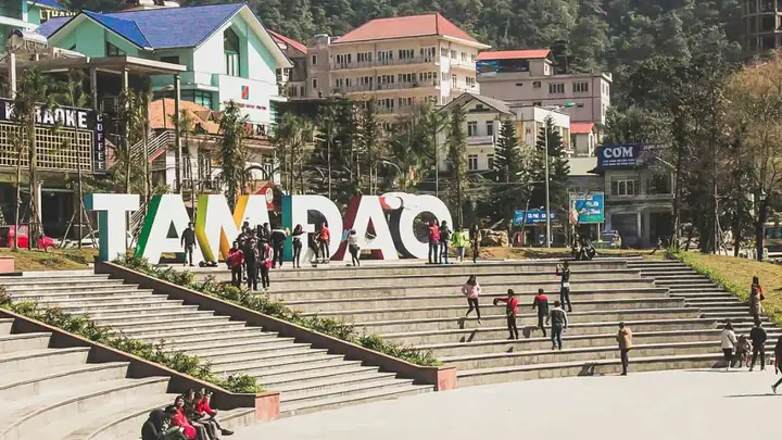 Chạy Quanh Tam Đảo: Hướng Dẫn Chi Tiết Lộ Trình, Kinh Nghiệm Thực Tế