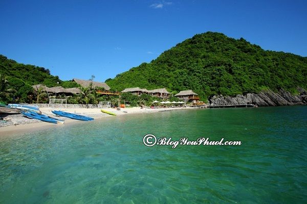 từ hải phòng đi cát bà bao nhiêu km - Hình 2