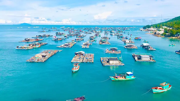 Hướng Dẫn Chi Tiết Giá Vé Tàu Đi Đảo Bà Lụa: So Sánh Tàu Cao Tốc & Tàu Gỗ