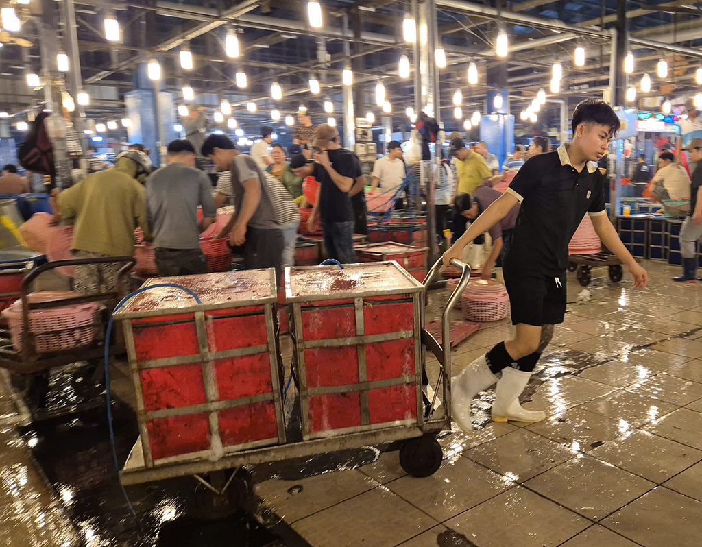 việc làm đêm tại chợ đầu mối bình điền - Hình 2