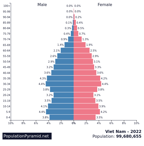 what is the population of vietnam - Hình 2