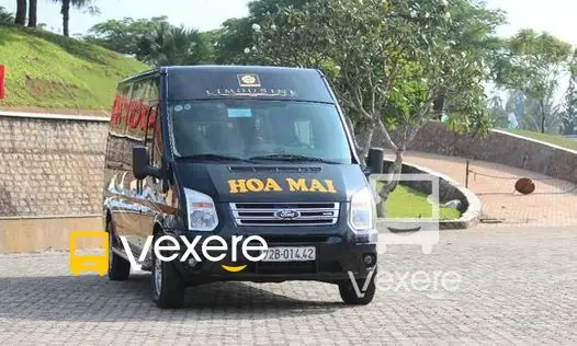 Xe Hoa Mai Đi Xuyên Mộc Là Gì? Trải Nghiệm Đi Xuyên Sương Mù Của Tôi Xe Hoa Mai Đi Xuyên Mộc Là Gì? Trải Nghiệm Đi Xuyên Sương Mù Của Tôi