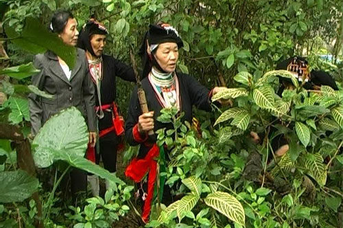 yên sơn ba vì hà nội - Hình 2