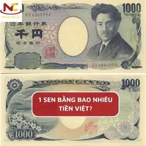 Sen Bao Nhiêu Tiền Việt: Giá Trị Hiện Tại Và Lịch Sử