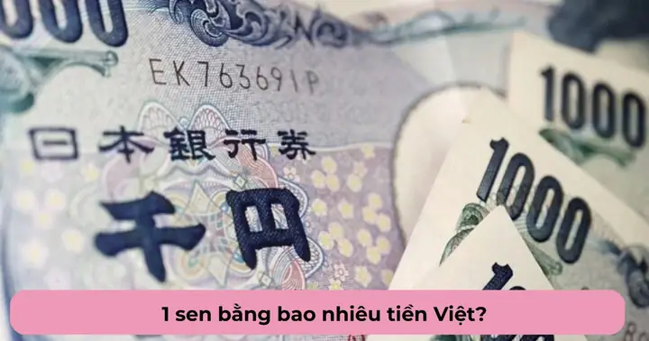 Sen Bao Nhiêu Tiền Việt: Giá Trị Hiện Tại Và Lịch Sử