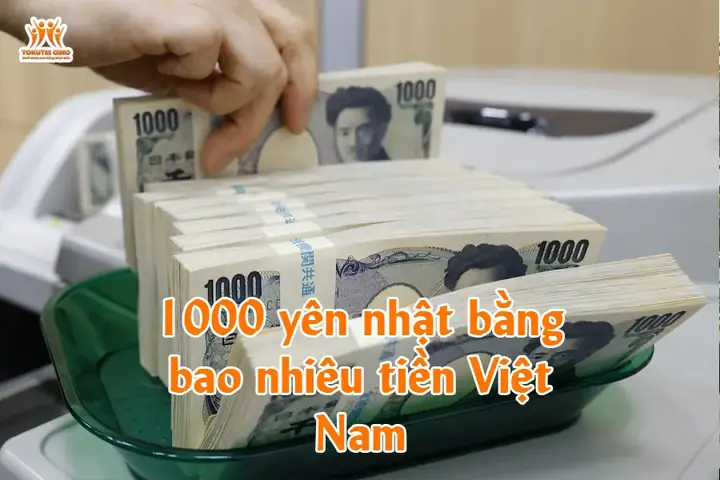 1000 Yên Bằng Bao Nhiêu Tiền Việt Nam? Tỷ Giá Hiện Tại