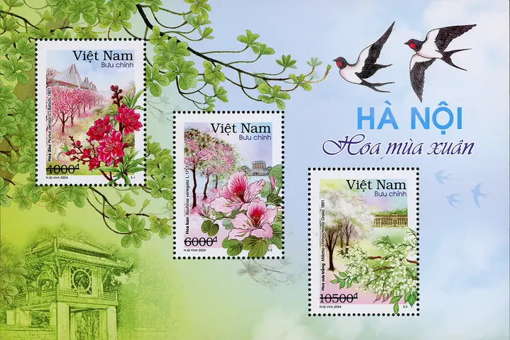 Hà Nội 12 Mùa Hoa: Vẻ Đẹp Từng Tháng