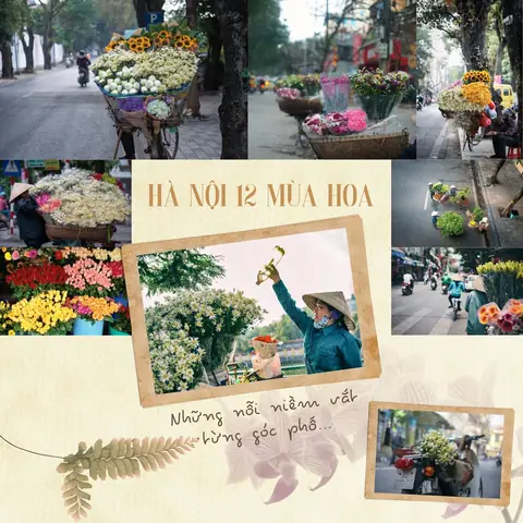 Hà Nội 12 Mùa Hoa: Vẻ Đẹp Từng Tháng