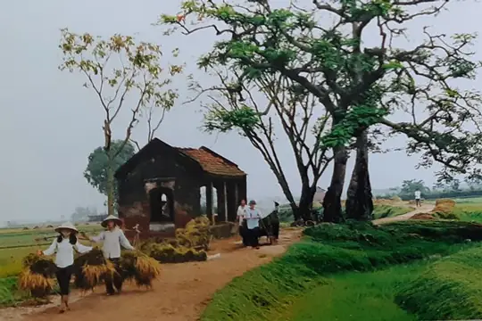 Ảnh Làng Quê Việt Nam Xưa: Ký Ức Tuổi Thơ