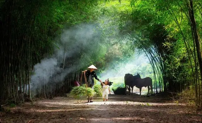 Ảnh Làng Quê Việt Nam Xưa: Ký Ức Tuổi Thơ