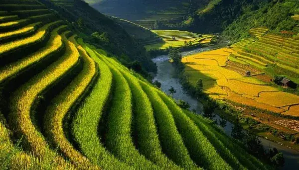 Ảnh Về Đất Nước Việt Nam: Tổng Quan Hình Ảnh Và Cách Tìm Kiếm Chất Lượng Ảnh Về Đất Nước Việt Nam: Tổng Quan Hình Ảnh Và Cách Tìm Kiếm Chất Lượng